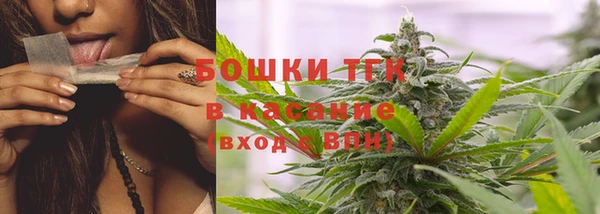 шишки Новозыбков
