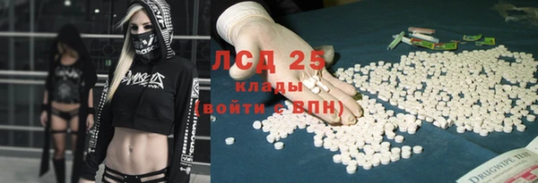 шишки Новозыбков