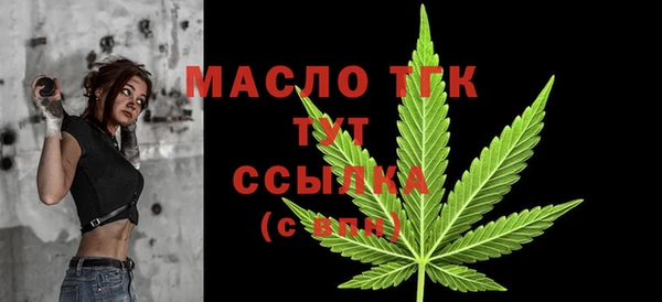 шишки Новозыбков