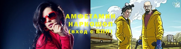 шишки Новозыбков