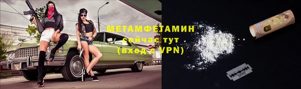шишки Новозыбков