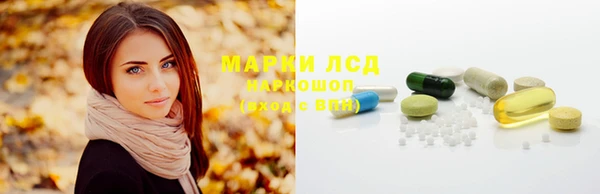 шишки Новозыбков