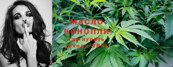 шишки Новозыбков