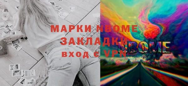 шишки Новозыбков