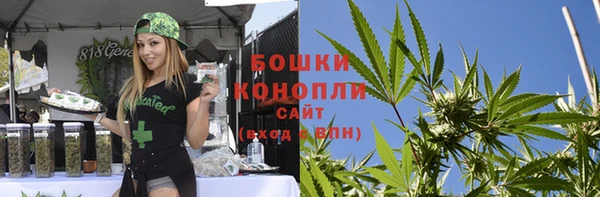 шишки Новозыбков
