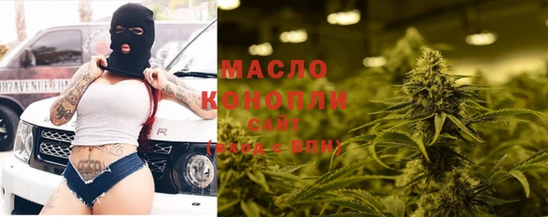 шишки Новозыбков