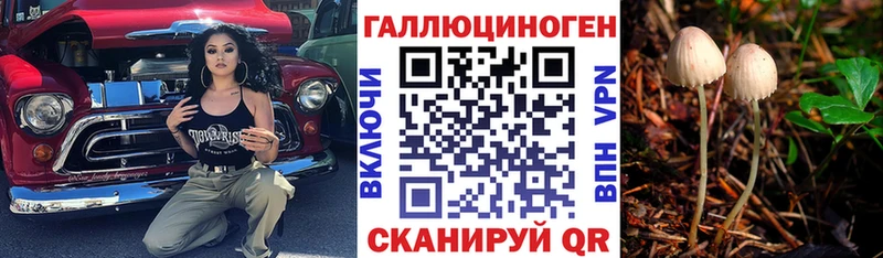 KRAKEN   Курчатов  Галлюциногенные грибы Magic Shrooms 