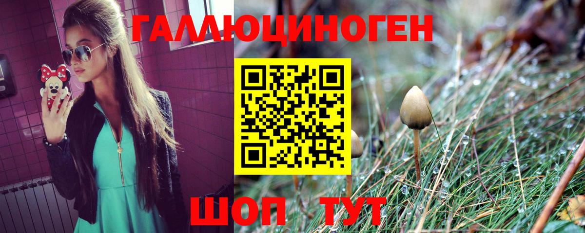 Галлюциногенные грибы MAGIC MUSHROOMS  Вход с VPN  Курчатов  Псилоцибиновые грибы Cubensis 
